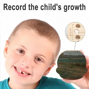 The Cabbage Field Children's Teeth Box