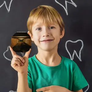 Accidental Witness Children's Teeth Box