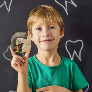 Fat Boy Children's Teeth Box