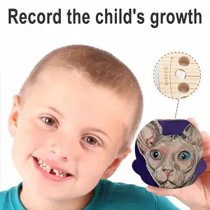 Bald Cat Children's Teeth Box