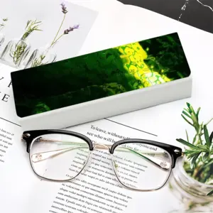 Bigin Green Rectangle Spectacle Case