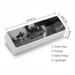 Dolphin Rectangle Spectacle Case