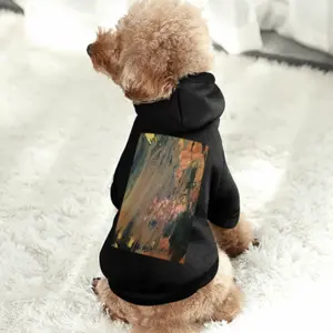 Bronze Abstraction Pet Clothes