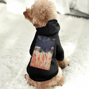 Darkfloater Pet Clothes