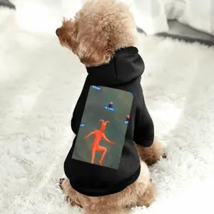 For Lighthearted Ease Pet Clothes