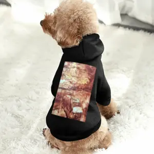 Firestorm Pet Clothes