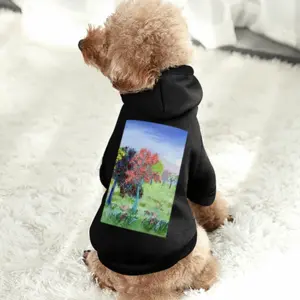 Delight To Come Upon… Pet Clothes