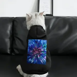 A Splash Of Energy Pet Clothes