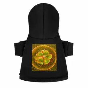 Cellular Universe X Pet Clothes