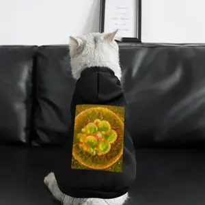 Cellular Universe X Pet Clothes