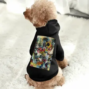 Postcard Pet Clothes