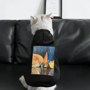 Reflexes Pet Clothes