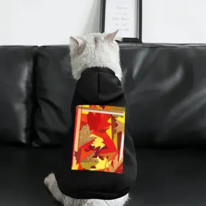 Autumn Pet Clothes