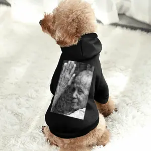 Prayer And Meditation Pet Clothes