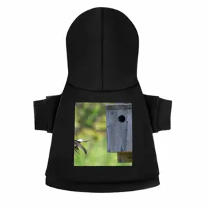 Swallow Takes Flight Pet Clothes