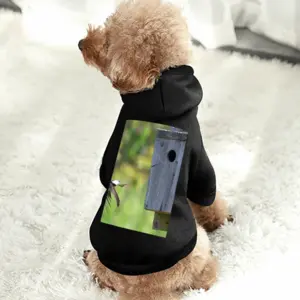 Swallow Takes Flight Pet Clothes