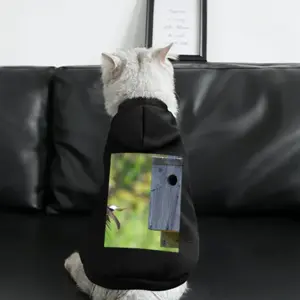 Swallow Takes Flight Pet Clothes