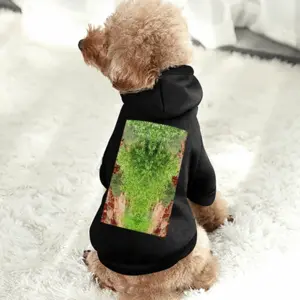 Many Faces Of Sedona Pet Clothes