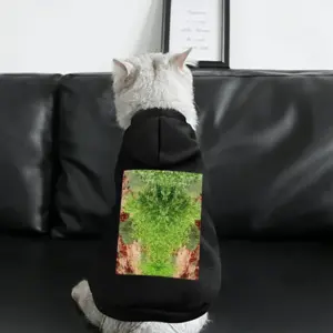 Many Faces Of Sedona Pet Clothes