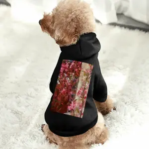 Malus Sylvestris - Path V Pet Clothes