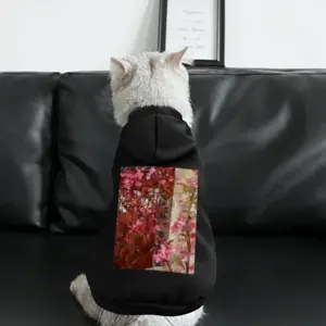 Malus Sylvestris - Path V Pet Clothes