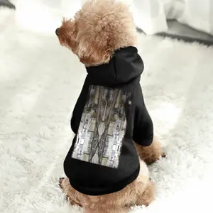 Spider 1 Pet Clothes