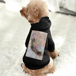 Trunk Pet Clothes