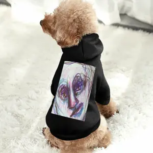 Identity Pet Clothes