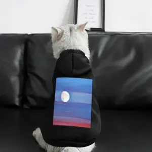 Background Pet Clothes