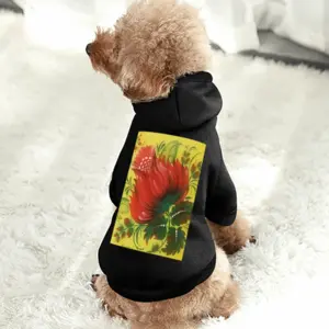 Early Spring Pet Clothes