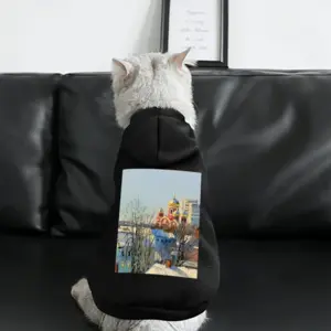 Winter Town With A Church Pet Clothes