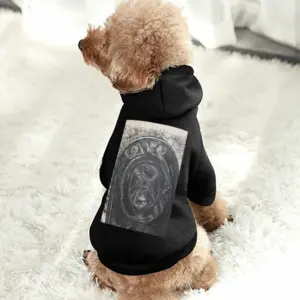 Death Helmet Pet Clothes