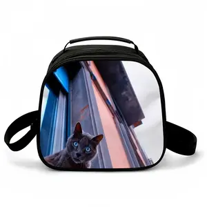 City Cat Portable Meal Package