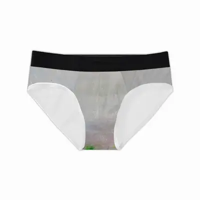 Men Secret Path Briefs