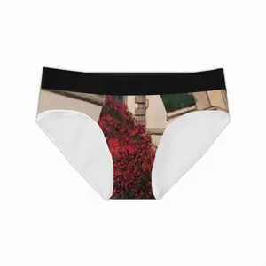 Men Villa Vizcaya Miami Briefs