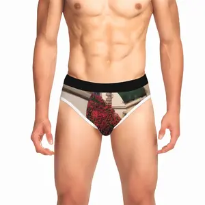 Men Villa Vizcaya Miami Briefs