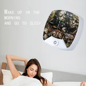 Family Joy Sleep Night Light