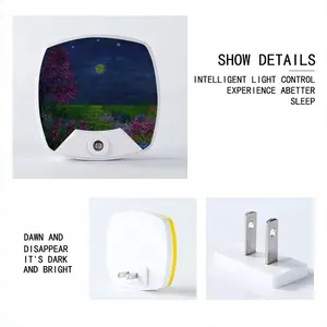 Stars Twinkle Sleep Night Light