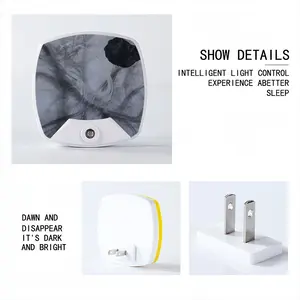 Seed Sleep Night Light