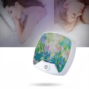 Take Me To Your Country Sleep Night Light