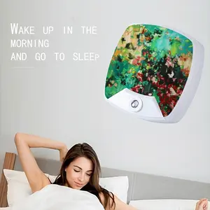 Echo Of Summer Sleep Night Light