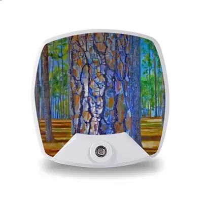 Portrait Of A Pine Tree Sleep Night Light