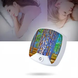 Portrait Of A Pine Tree Sleep Night Light