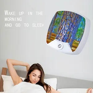 Portrait Of A Pine Tree Sleep Night Light