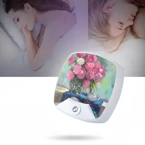 Still Life With Peonies Sleep Night Light