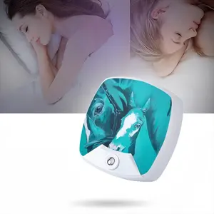 Maternity Ii Sleep Night Light