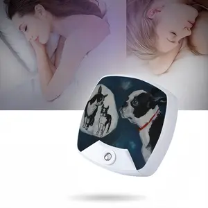 Bostons Iii Sleep Night Light