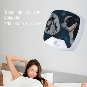 Bostons Iii Sleep Night Light