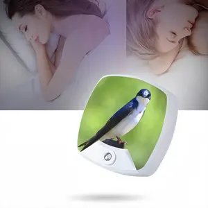 I See You Swallow Sleep Night Light