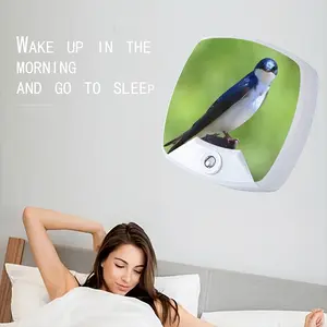 I See You Swallow Sleep Night Light